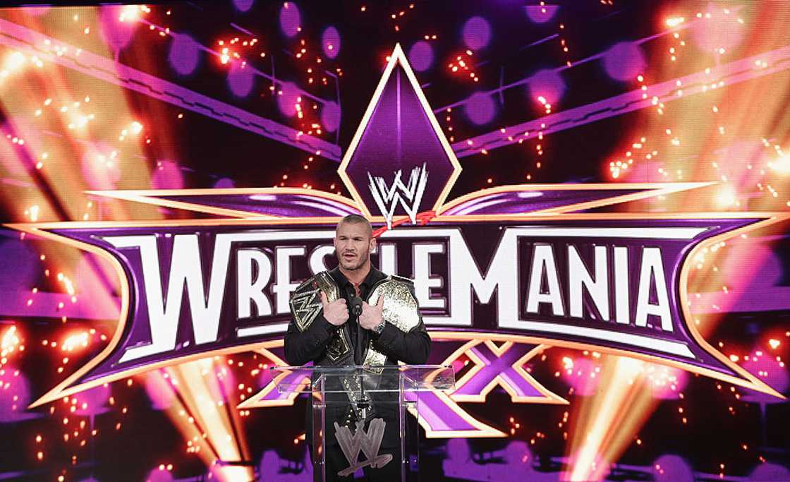 Famous WWE wrestlers Famous WWE wrestlers