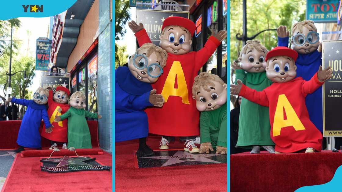 The three Chipmunks, Alvin, Simon, and Theodore, at the Hollywood Walk of Fame in LA The three Chipmunks, Alvin, Simon, and Theodore, at the Hollywood Walk of Fame in LA