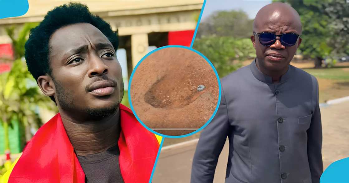 Popular NDC, Activist, Ralph St Williams, 2025 Budget, Ato Forson, Parliament, Stephen Amoah Popular NDC, Activist, Ralph St Williams, 2025 Budget, Ato Forson, Parliament, Stephen Amoah