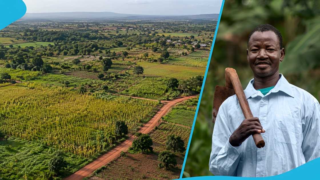 Farmland, Ghana, Land, Real Estate, Agriculture, Kintampo