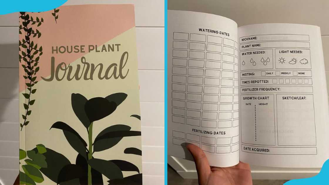 Plant journal Plant journal