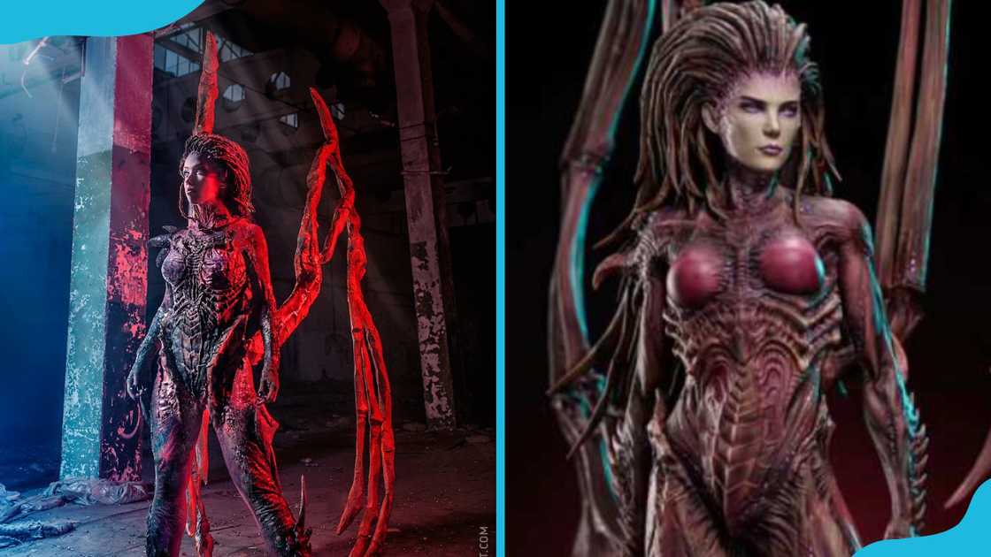 Sarah Kerrigan in her signature attire Sarah Kerrigan in her signature attire
