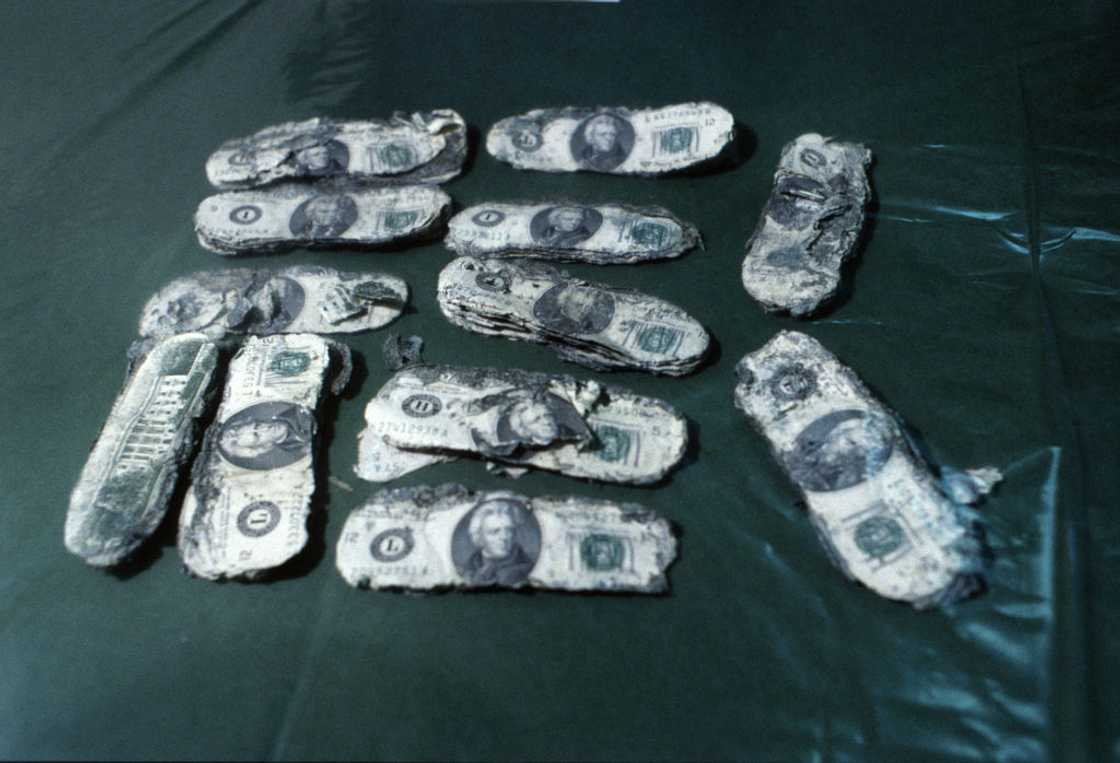 Decomposed $20 bills Decomposed $20 bills