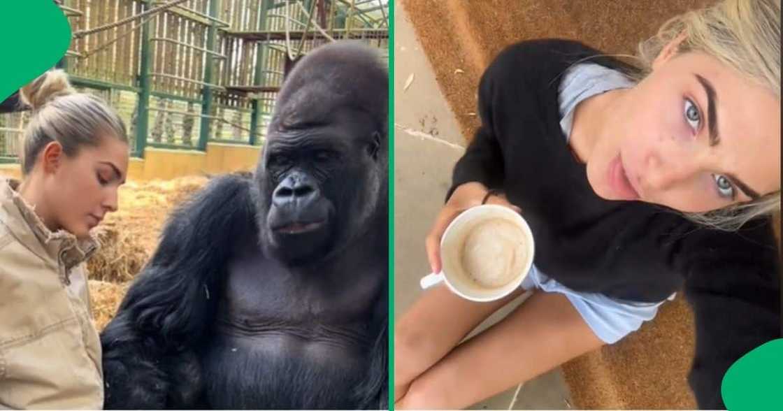 Woman leaves school to take care of animals Woman leaves school to take care of animals