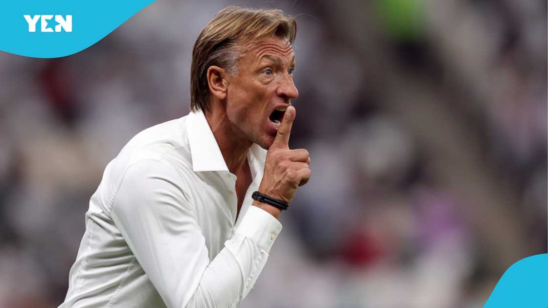 Saudi Arabia Sack Herve Renard 2 Months Before World Cup Amid Ghana Links