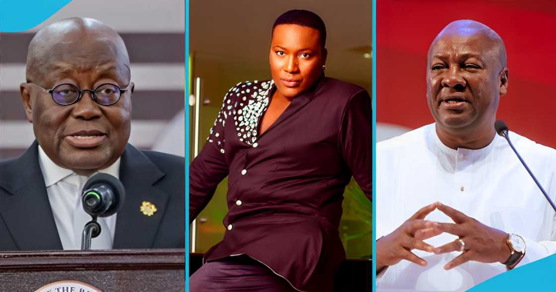 Charlie Dior Charlie Dior