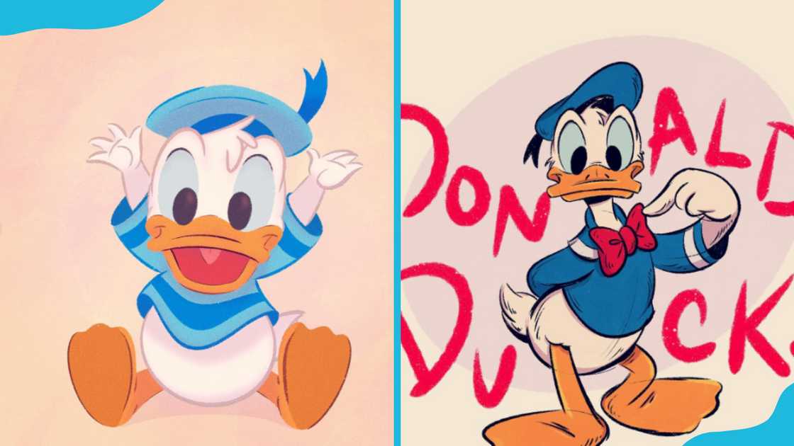 Donald Duck Donald Duck