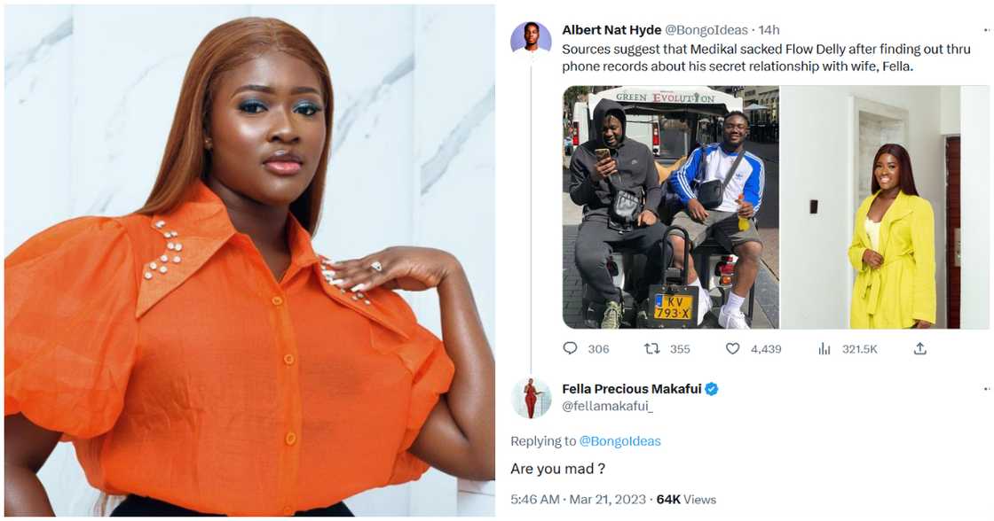 Fella Makafui and social media troll