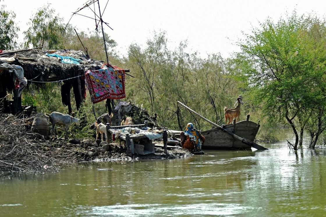 A woman washes clothes in flood waters at a village on the outskirts of Sukkur A woman washes clothes in flood waters at a village on the outskirts of Sukkur