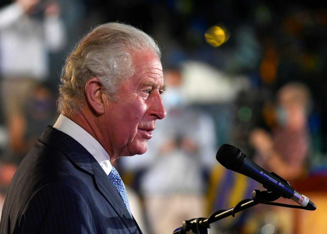 The queen's successor Charles was often criticised for pushing his personal causes The queen's successor Charles was often criticised for pushing his personal causes