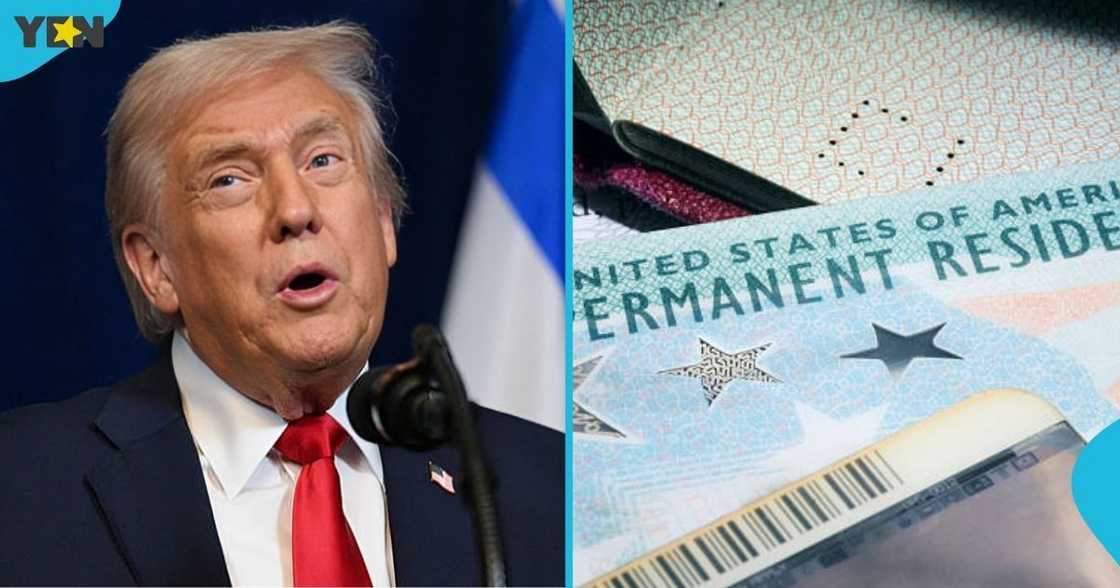 US, Permanent Resident Card, the Green Card, United States Citizenship and Immigration Services, USCIS, foreign nationals, President Donald Trump