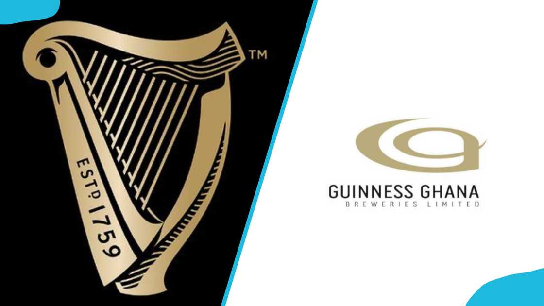 The Guinness harp logo. The Guinness Ghana Breweries Limited logo. The Guinness harp logo. The Guinness Ghana Breweries Limited logo.