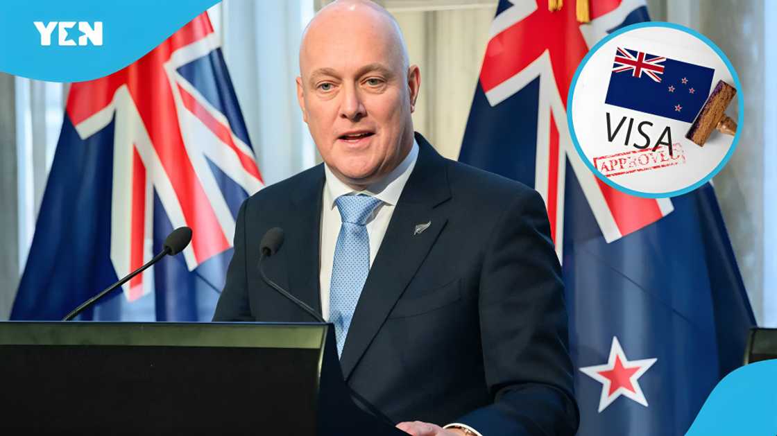 New Zealand work visa for Indians, New Zealand TEE visa requirements, India-New Zealand Free Trade Agreement, New Zealand visa eligibility, post-study work visa, working holiday visa, New Zealand work visa, permanent residency New Zealand work visa for Indians, New Zealand TEE visa requirements, India-New Zealand Free Trade Agreement, New Zealand visa eligibility, post-study work visa, working holiday visa, New Zealand work visa, permanent residency