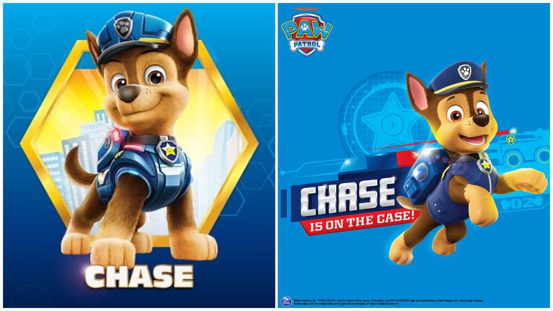 PAW Patrol characters