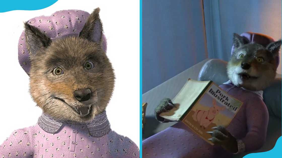 The Big Bad Wolf in a purple dress and hat