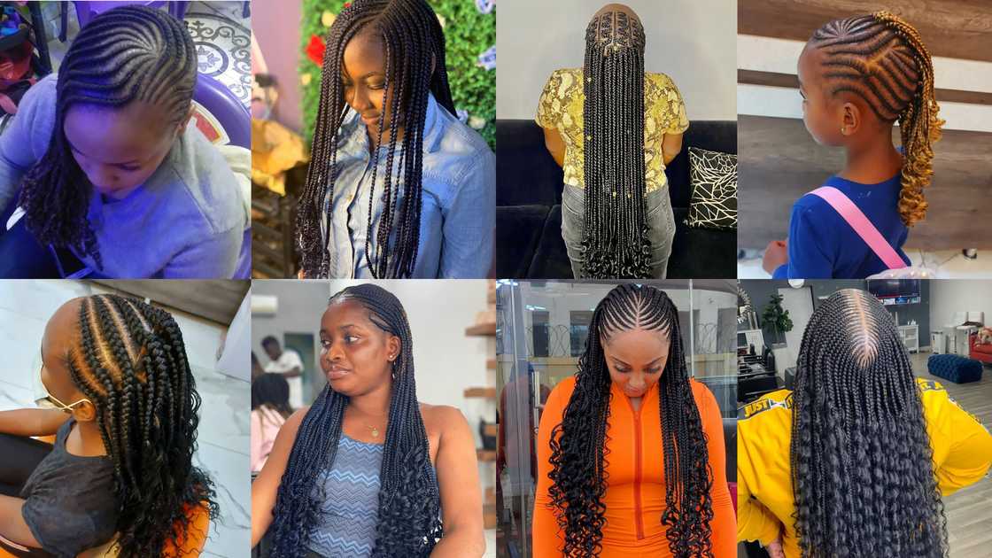 cornrow rasta with curly ends cornrow rasta with curly ends