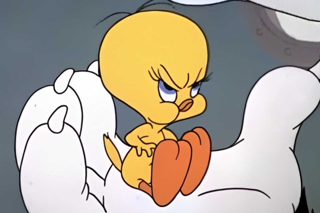 Tweety Bird is sitting on a hand