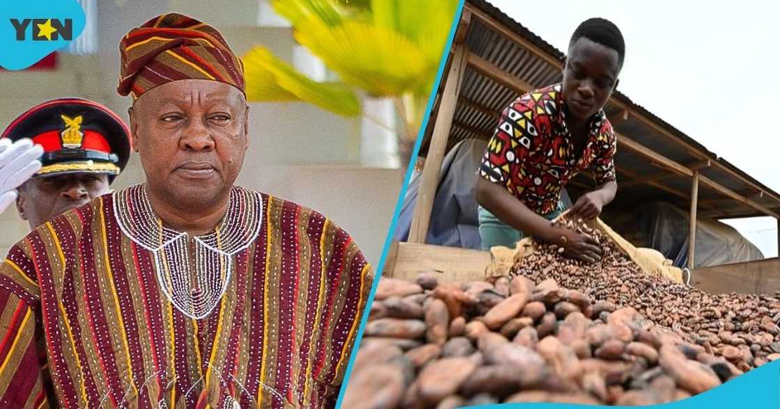 President John Dramani Mahama, State of the Nation Address, 2026 SONA, cocoa farmers, Ghana's cocoa sector.