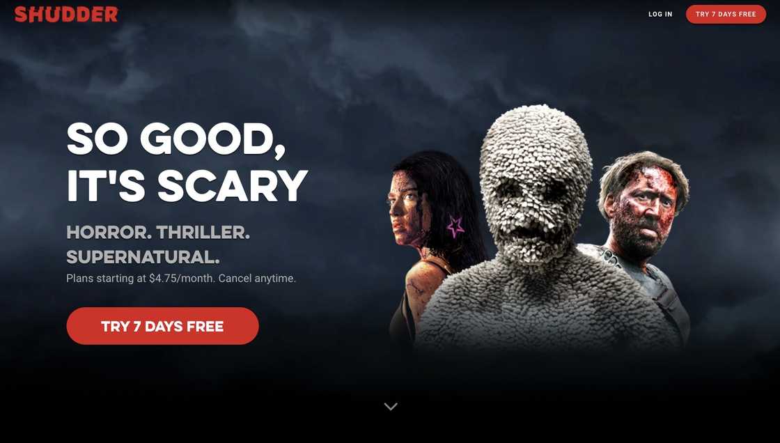 Netflix alternative Netflix alternative