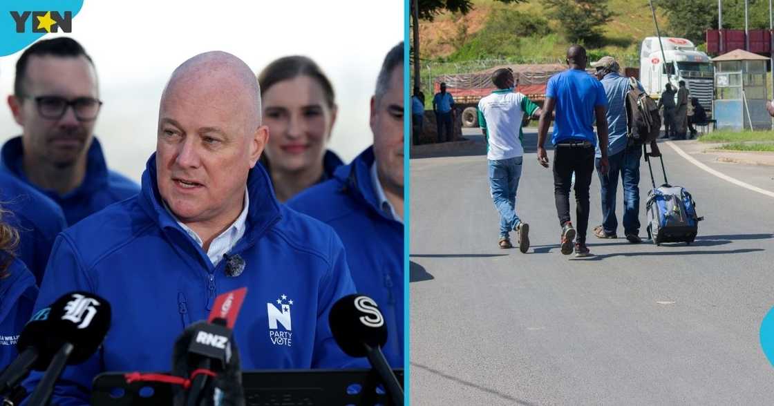 New Zealand, New Zealand visa, New Zealand Immigration, New Zealand deportation rules, foreigner in New Zealand New Zealand, New Zealand visa, New Zealand Immigration, New Zealand deportation rules, foreigner in New Zealand