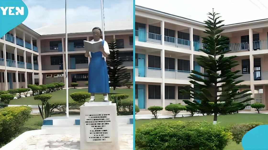 St Monica’s SHS, Students, Private Cars, Taxis, School Students St Monica’s SHS, Students, Private Cars, Taxis, School Students