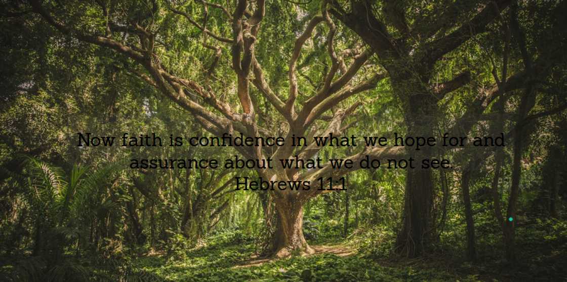 What is faith What is faith