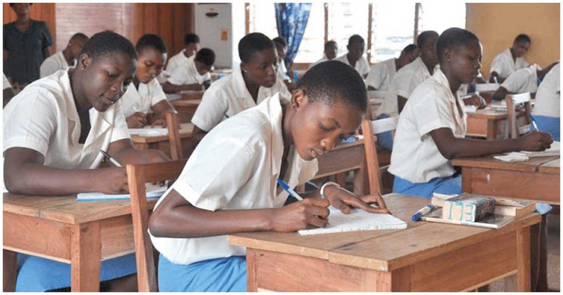 Free SHS students learning.