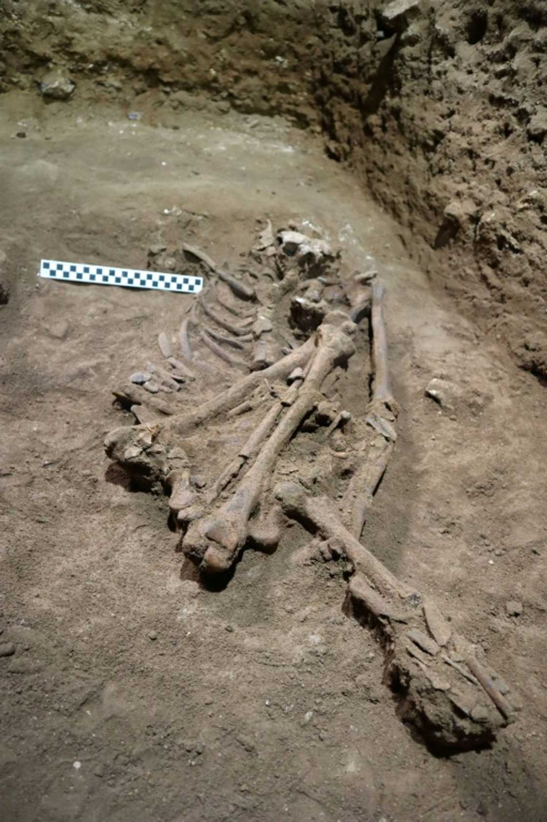 Skeletal remains of an individual dating back some 31,000 years ago are excavated at the Liang Tebo cave in Borneo’s East Kalimantan Skeletal remains of an individual dating back some 31,000 years ago are excavated at the Liang Tebo cave in Borneo’s East Kalimantan