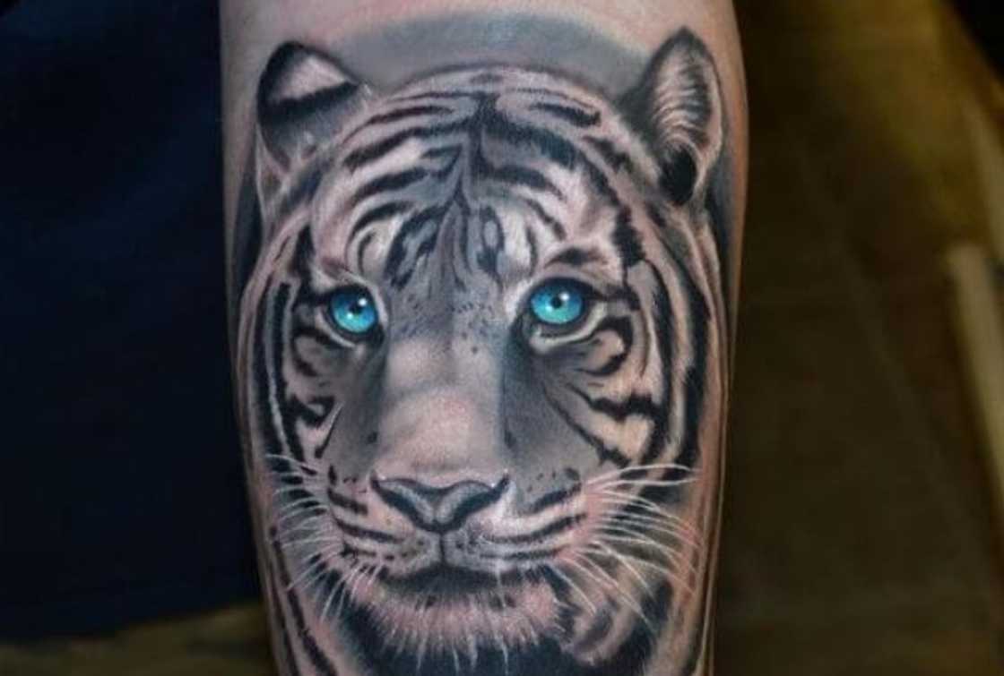 American traditional tattoo American traditional tattoo