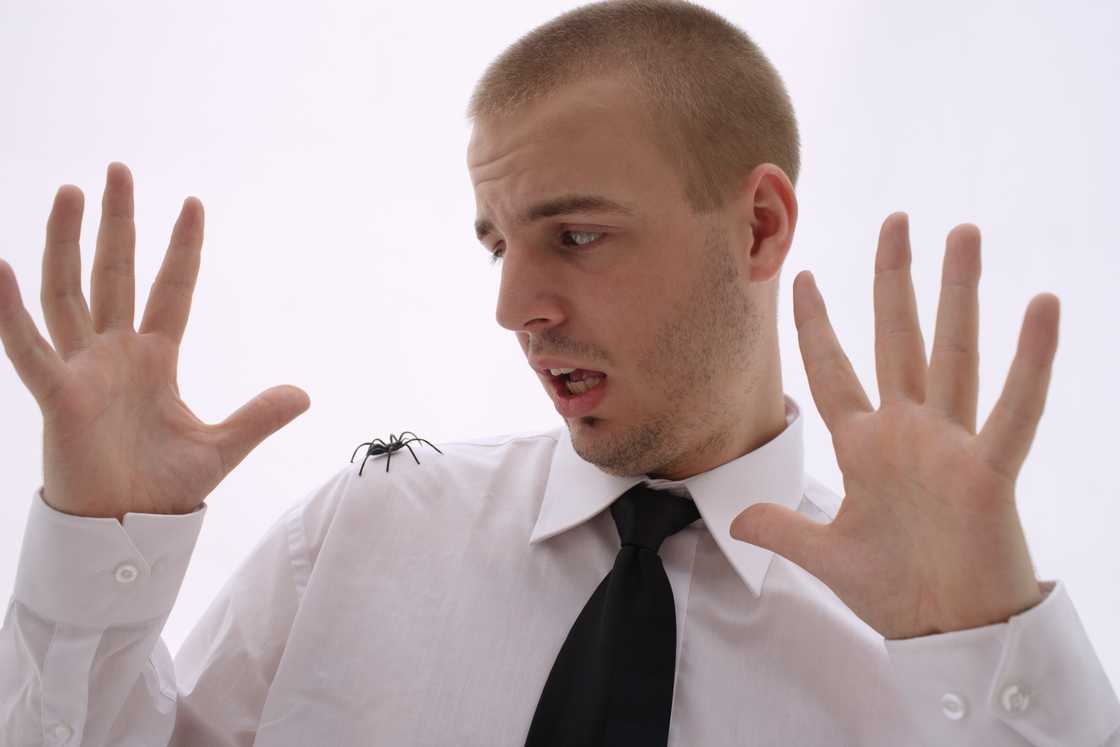 A man with a spider on his shoulder