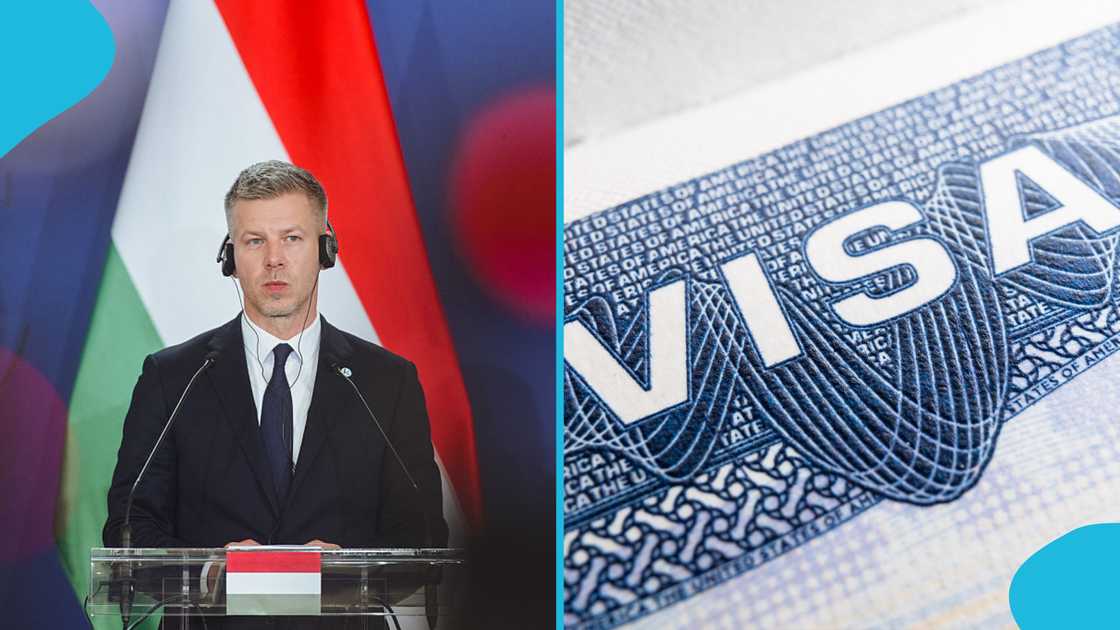 Hungary citizenship, citizenship requirements, simplified naturalisation, Hungarian citizenship application, Hungarian ancestry, Hungarian citizenship by marriage, Hungarian language requirement, criminal record requirement