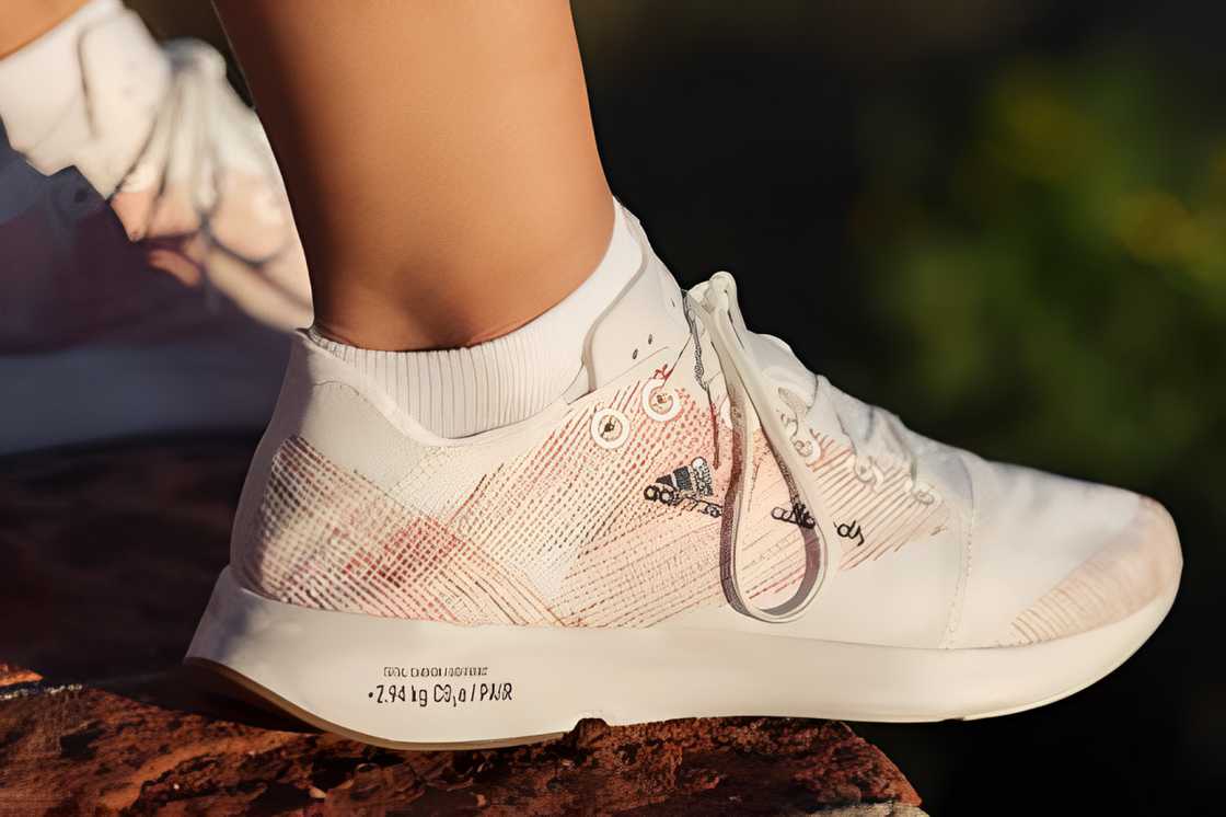 A person is wearing sneakers with Allbirds and Adidas logo