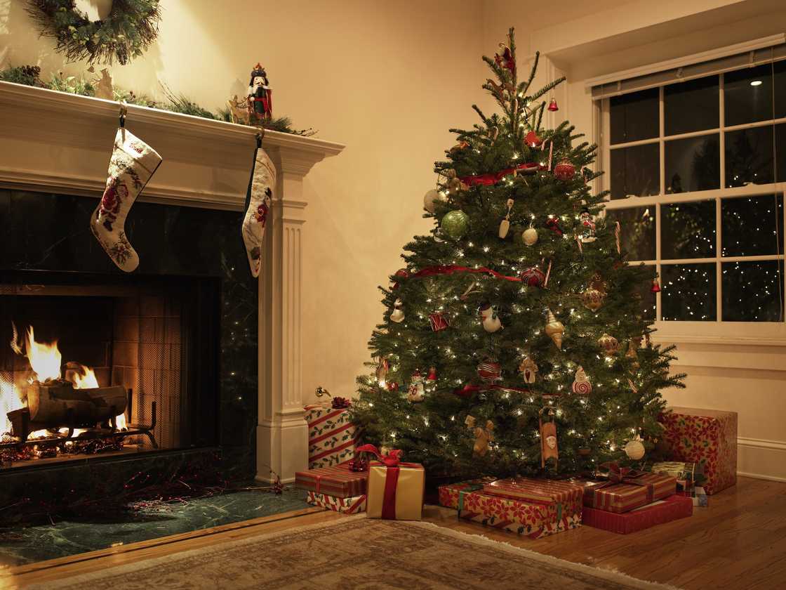 Christmas tree in a living room