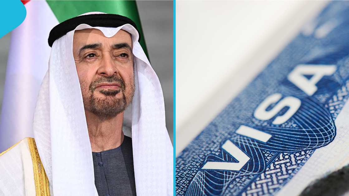 Abu Dhabi Green Visa, UAE Green Visa, Green Visa application, Abu Dhabi residency visa, UAE long-term residency, investor visa UAE, business partner visa UAE, Federal Authority for Identity