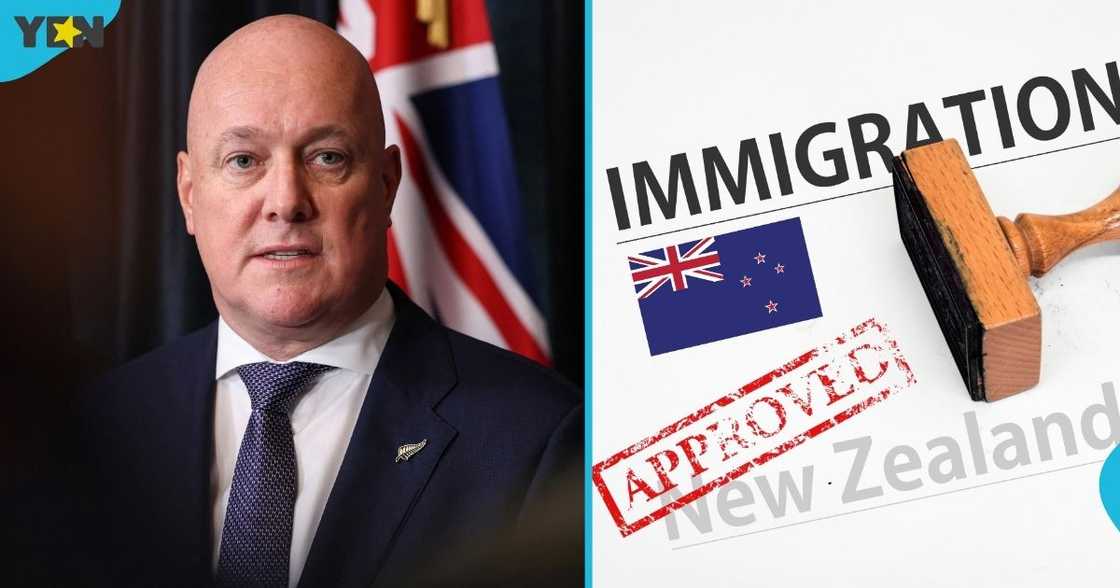 New Zealand, New Zealand immigration, New Zealand partner visa, New Zealand partnership-based visas, foreign nationals New Zealand, New Zealand immigration, New Zealand partner visa, New Zealand partnership-based visas, foreign nationals