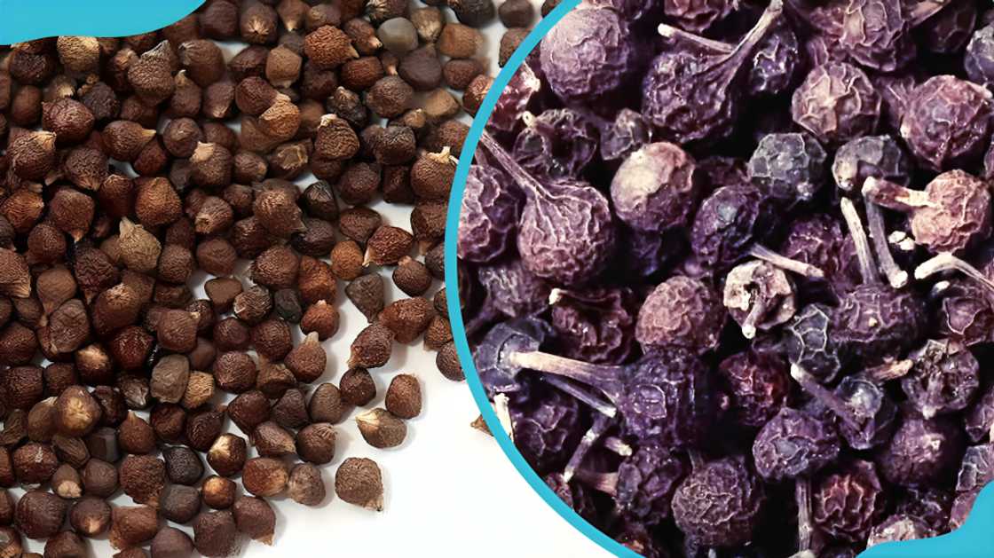 spices in Ghana spices in Ghana