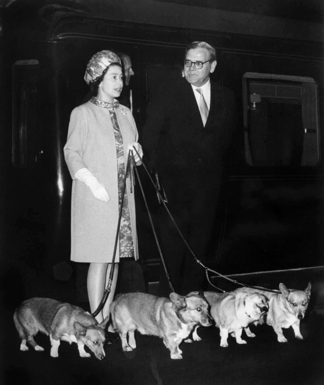 Corgis were constant companions throughout the queen's life Corgis were constant companions throughout the queen's life