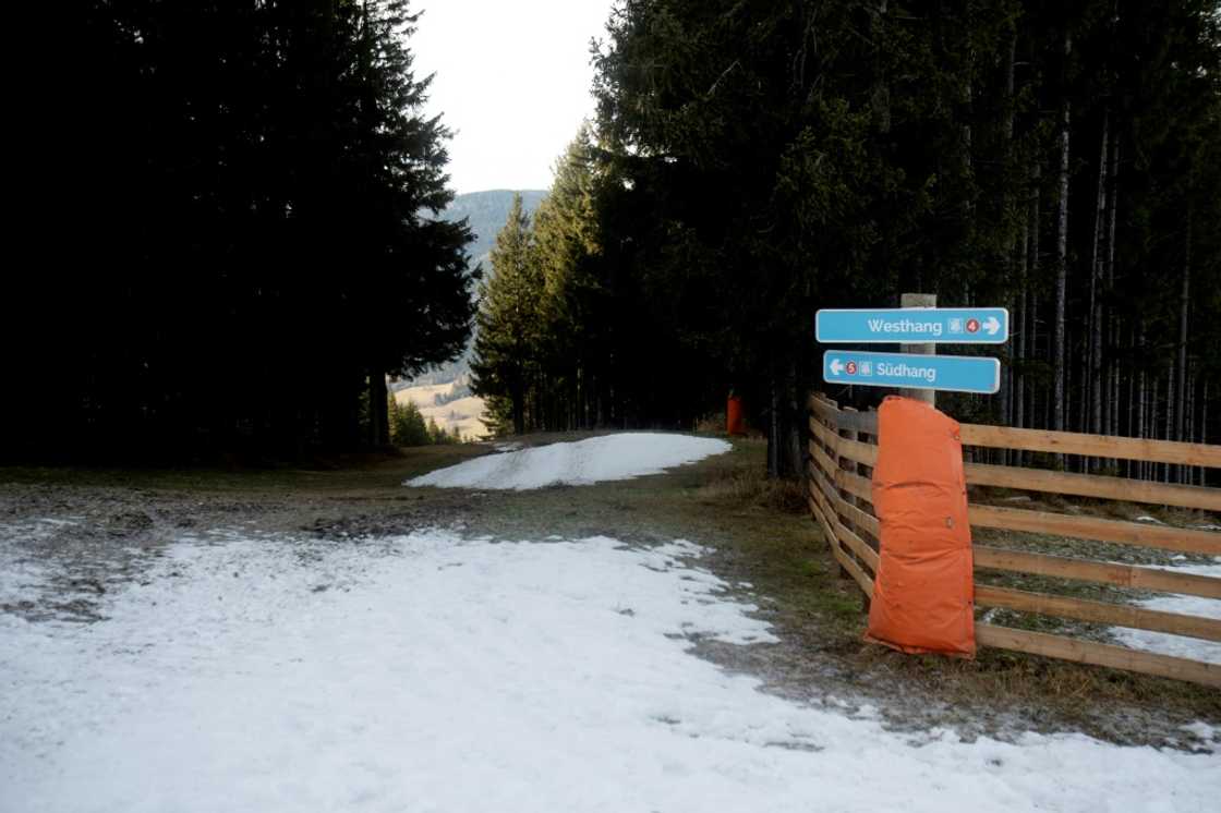 Europe has seen 'extreme' warm winter weather, experts say Europe has seen 'extreme' warm winter weather, experts say