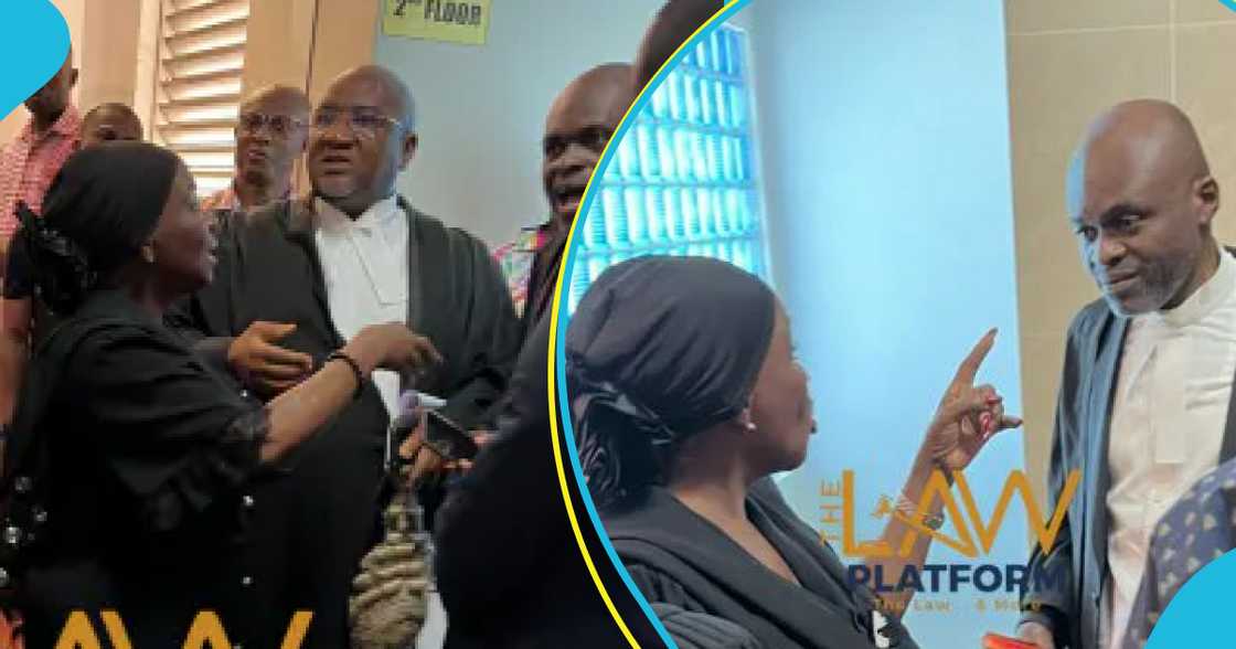 Cecilia Dapaah Confronts Martin Kpebu Cecilia Dapaah Confronts Martin Kpebu