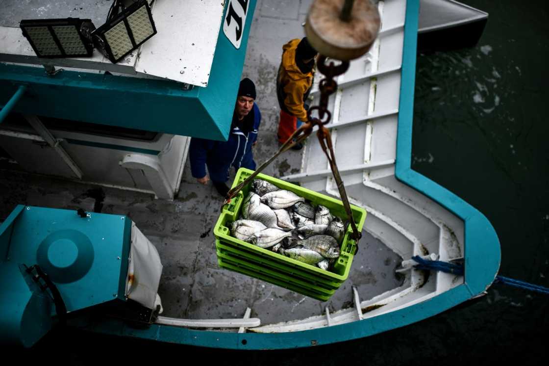 Subsidies and overcapacity in the global fishing industry are the target of World Trade Organisation talks this week Subsidies and overcapacity in the global fishing industry are the target of World Trade Organisation talks this week