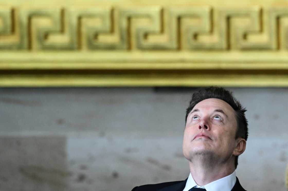 Tesla and SpaceX CEO Elon Musk has been granted unprecedented powers by Donald Trump Tesla and SpaceX CEO Elon Musk has been granted unprecedented powers by Donald Trump