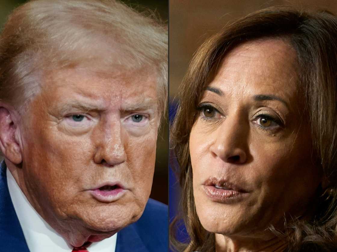 Former US president Donald Trump takes on Vice President Kamala Harris for the White House on November 5