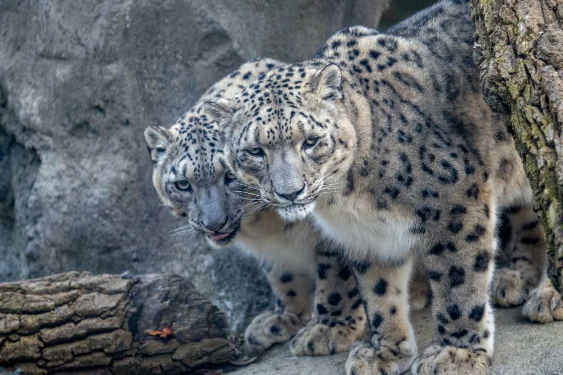 Things to do in Cincinnati Things to do in Cincinnati