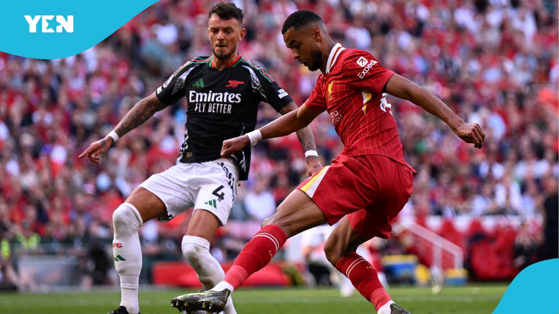 Cody Gakpo, Arsenal, Ben White, Premier League, Liverpool, Togo. Cody Gakpo, Arsenal, Ben White, Premier League, Liverpool, Togo.