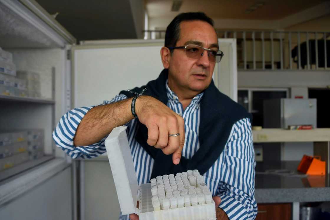 Ecuadoran scientist Javier Carvajal shows vials containing the resurrected strain of yeast from Latin America's oldest beer Ecuadoran scientist Javier Carvajal shows vials containing the resurrected strain of yeast from Latin America's oldest beer