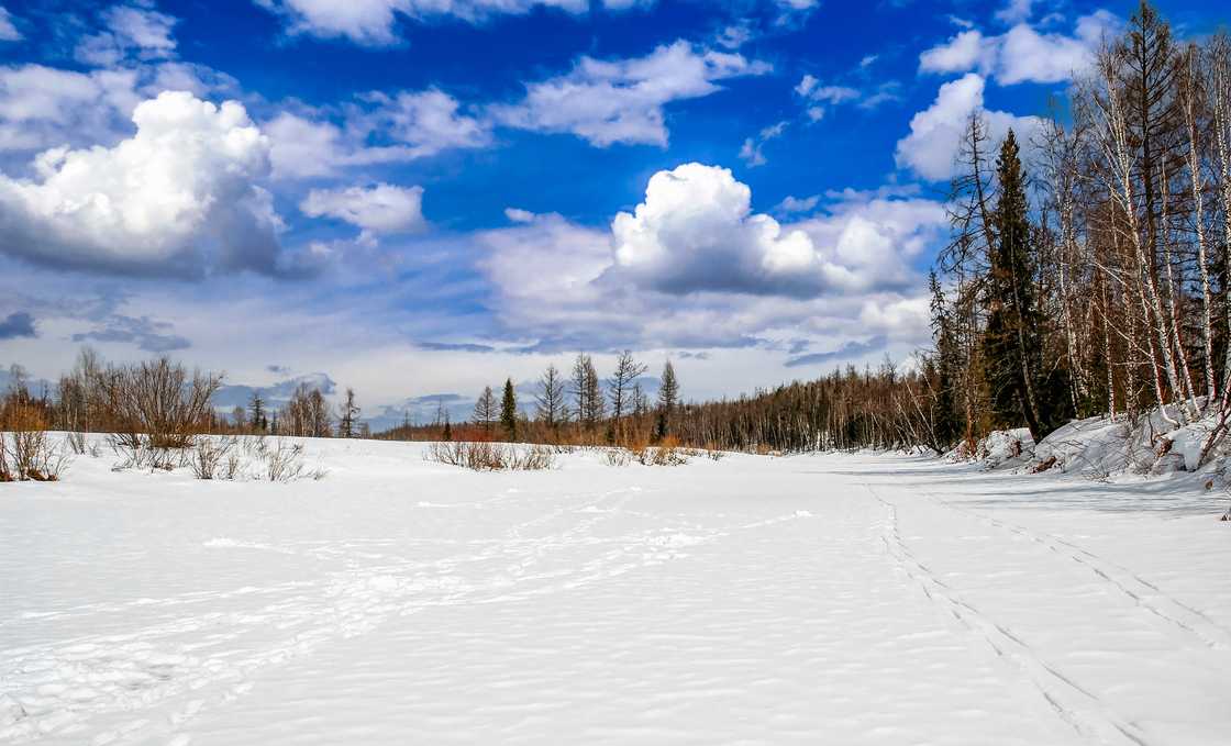 longest river in the us