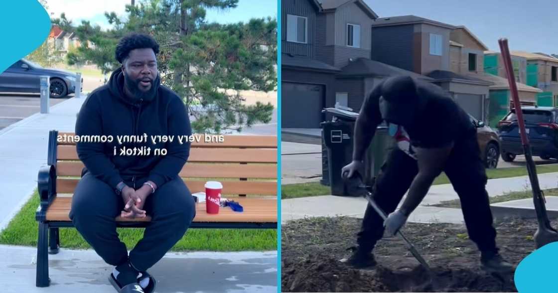 Henry Gordon, canada, tech bro, project manager, gardener, ghana, canada relocation Henry Gordon, canada, tech bro, project manager, gardener, ghana, canada relocation