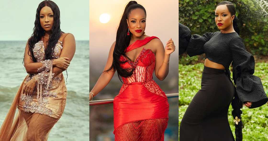 Joselyn Dumas Captivates fans with Animal-Themed Photoshoots; Fans React Joselyn Dumas Captivates fans with Animal-Themed Photoshoots; Fans React