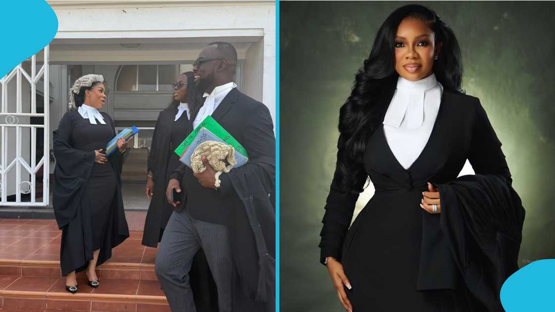 Serwaa Amihere, Supreme Court, Ghana Bar, The Law Platform, Serwaa Amihere scolded, Serwaa Amihere GhOne