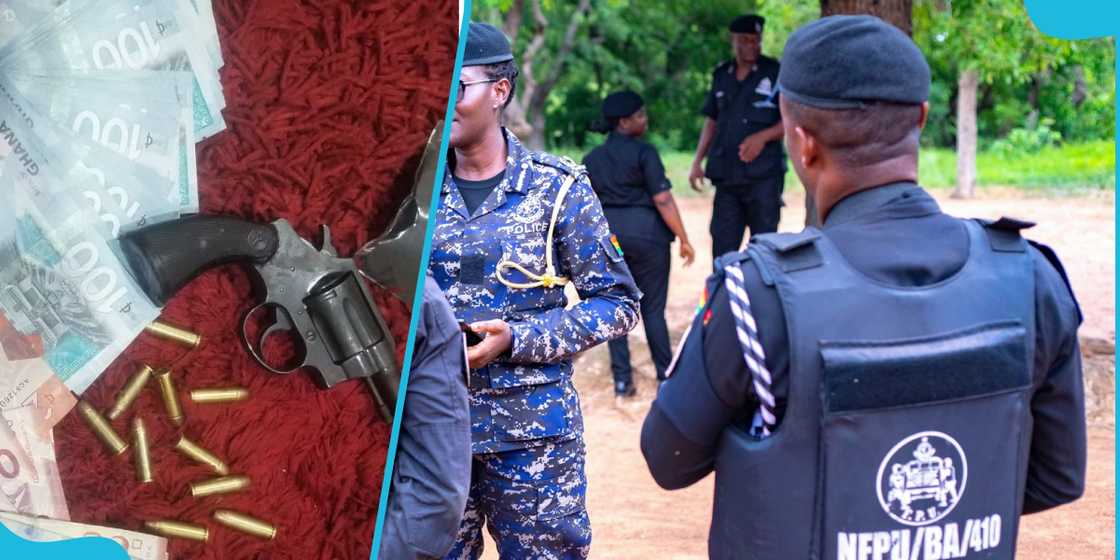 Daylight Robbery Daylight Robbery